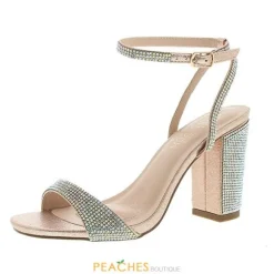 Chaya-1 Thick Heels By Blossom Footwear