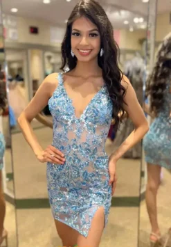 Fitted V Neck Dress 1180