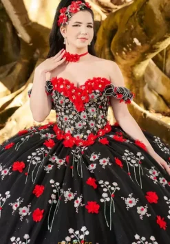 LizLuo Quinceanera 26099