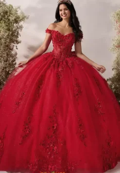 LizLuo Quinceanera 56548