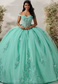 LizLuo Quinceanera 56548