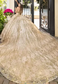 LizLuo Quinceanera 80006