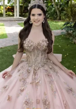 LizLuo Quinceanera 56525