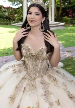 LizLuo Quinceanera 56525