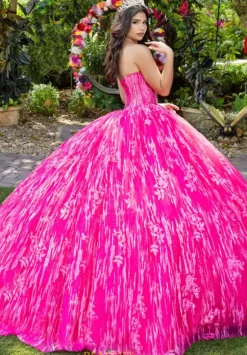 LizLuo Quinceanera 56528