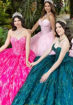 LizLuo Quinceanera 56528