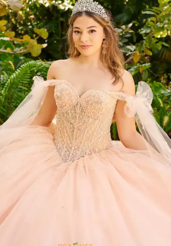 LizLuo Quinceanera 56518