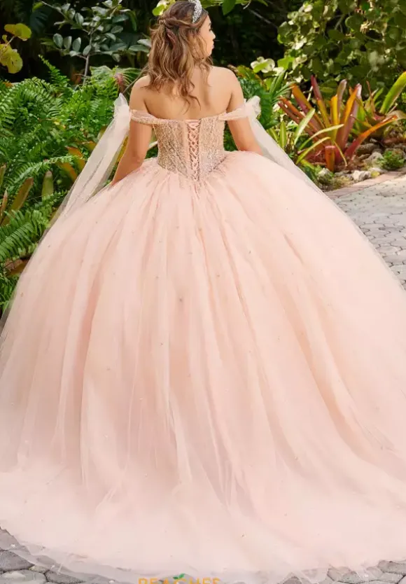 LizLuo Quinceanera 56518