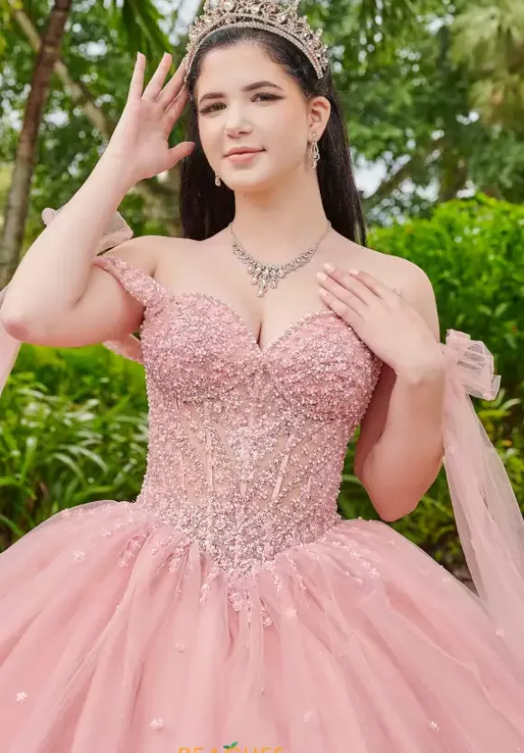 LizLuo Quinceanera 56518