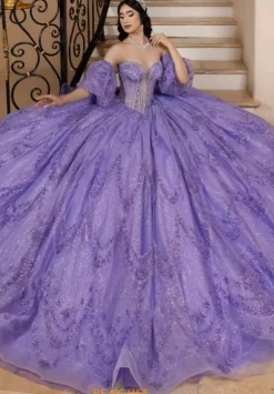 LizLuo Quinceanera 26113