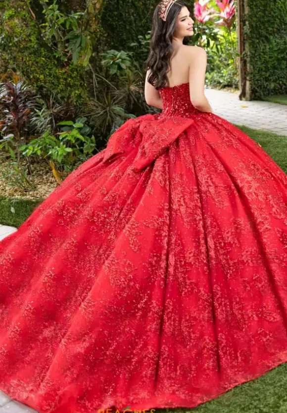 LizLuo Quinceanera 56527