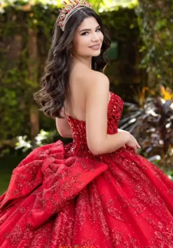 LizLuo Quinceanera 56527