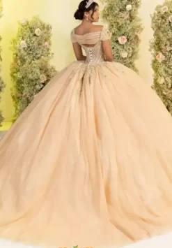 LizLuo Quinceanera 56555