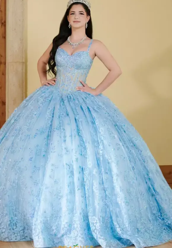 LizLuo Quinceanera 56510