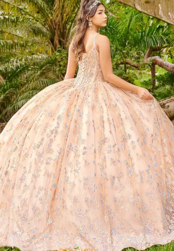 LizLuo Quinceanera 56510