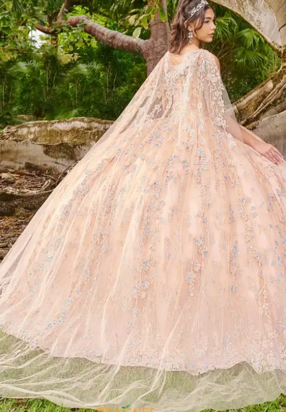 LizLuo Quinceanera 56510