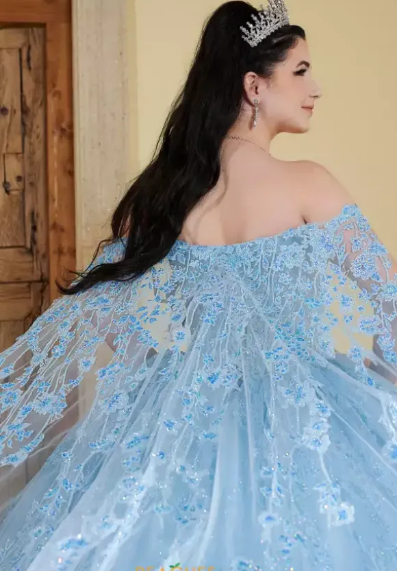 LizLuo Quinceanera 56510