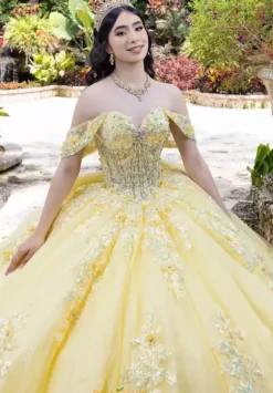 LizLuo Quinceanera 26100