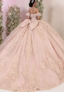 LizLuo Quinceanera 56562