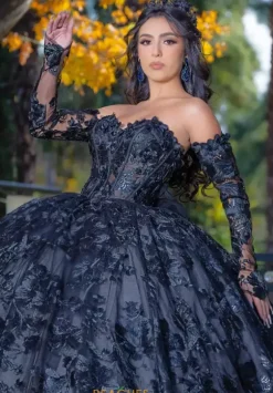 LizLuo Quinceanera 26092