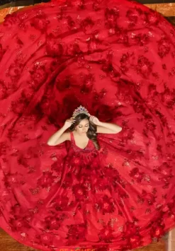 LizLuo Quinceanera 80032