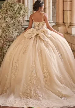 LizLuo Quinceanera 56546