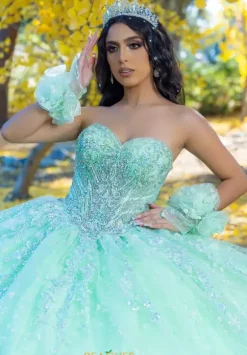 LizLuo Quinceanera 26094