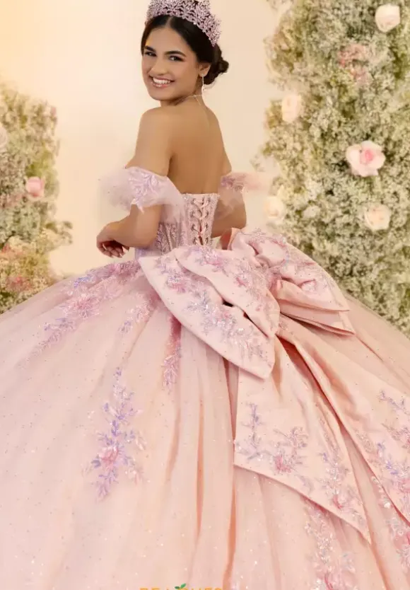 LizLuo Quinceanera 56553