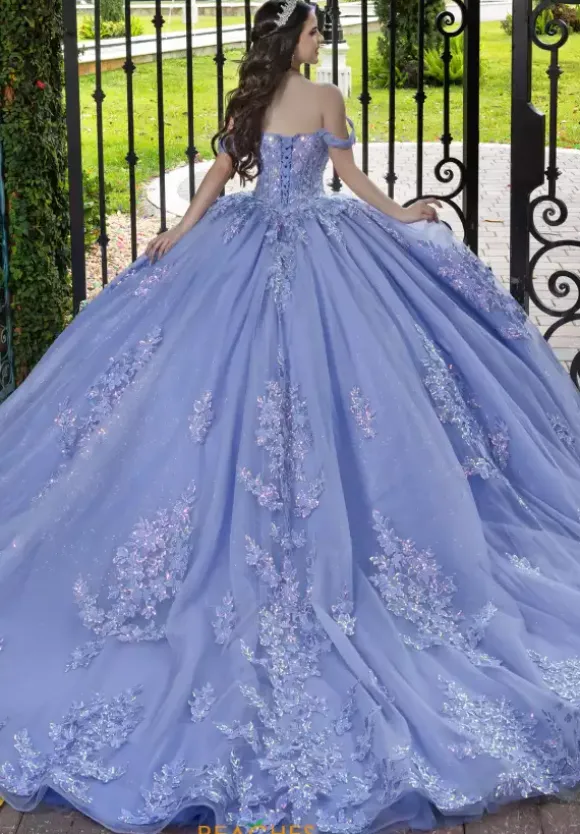 LizLuo Quinceanera 56529