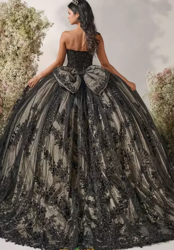 LizLuo Quinceanera 56551