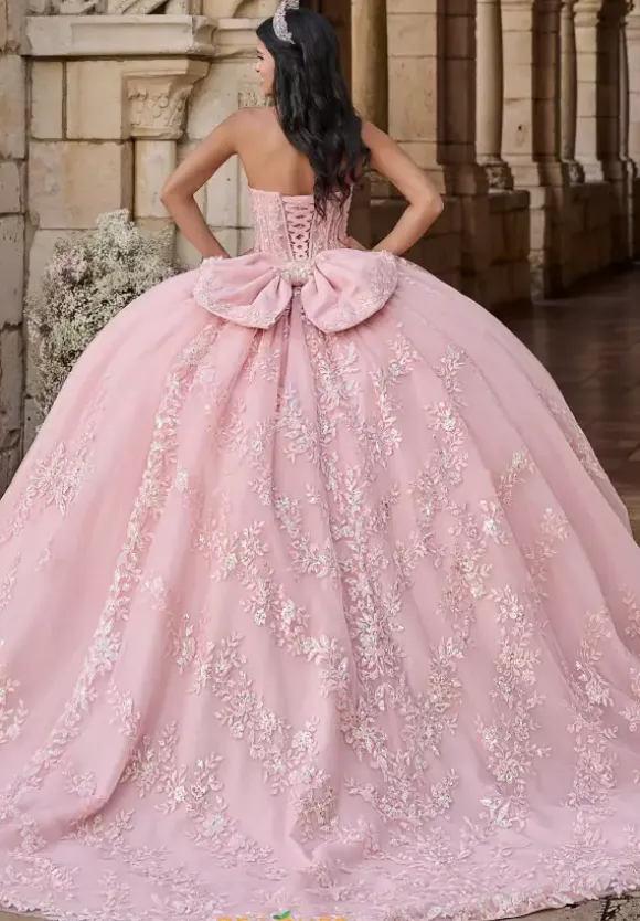 LizLuo Quinceanera 56551