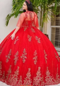 LizLuo Quinceanera 56519