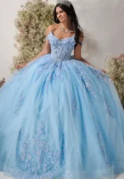 LizLuo Quinceanera 56549