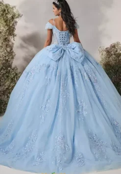 LizLuo Quinceanera 56547