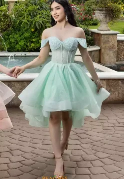 LizLuo Quinceanera 26103