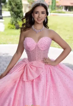 LizLuo Quinceanera 56538