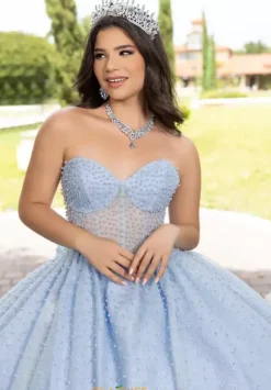 LizLuo Quinceanera 56538