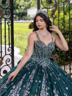 LizLuo Quinceanera 56533