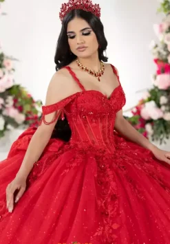 LizLuo Quinceanera 26136