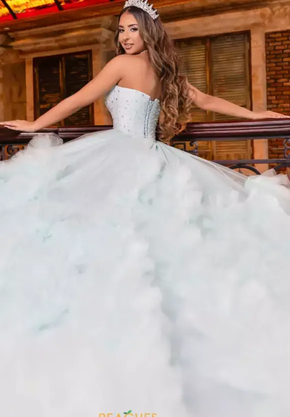 LizLuo Quinceanera 80022