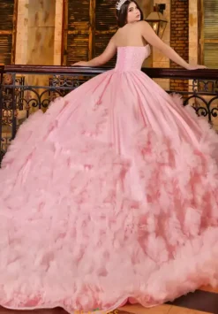 LizLuo Quinceanera 80022