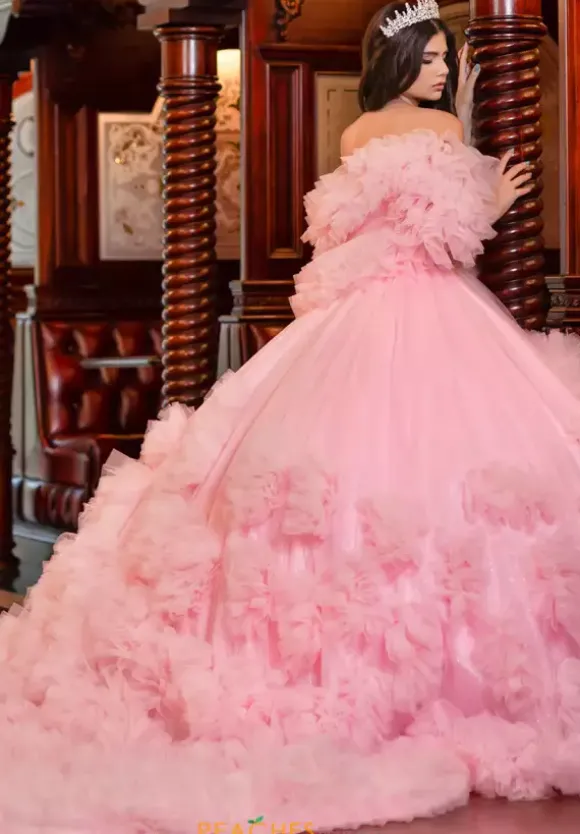 LizLuo Quinceanera 80022