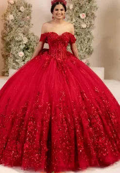 LizLuo Quinceanera 56557