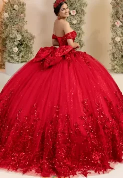 LizLuo Quinceanera 56557