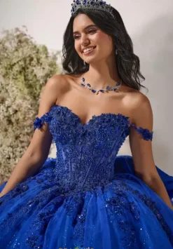 LizLuo Quinceanera 56543