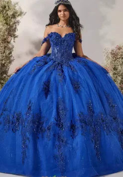 LizLuo Quinceanera 56543