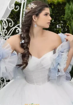 LizLuo Quinceanera 80025