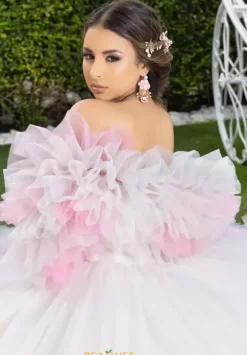 LizLuo Quinceanera 80025