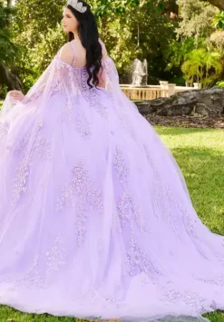LizLuo Quinceanera 56516