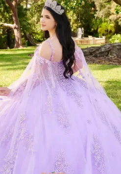 LizLuo Quinceanera 56516